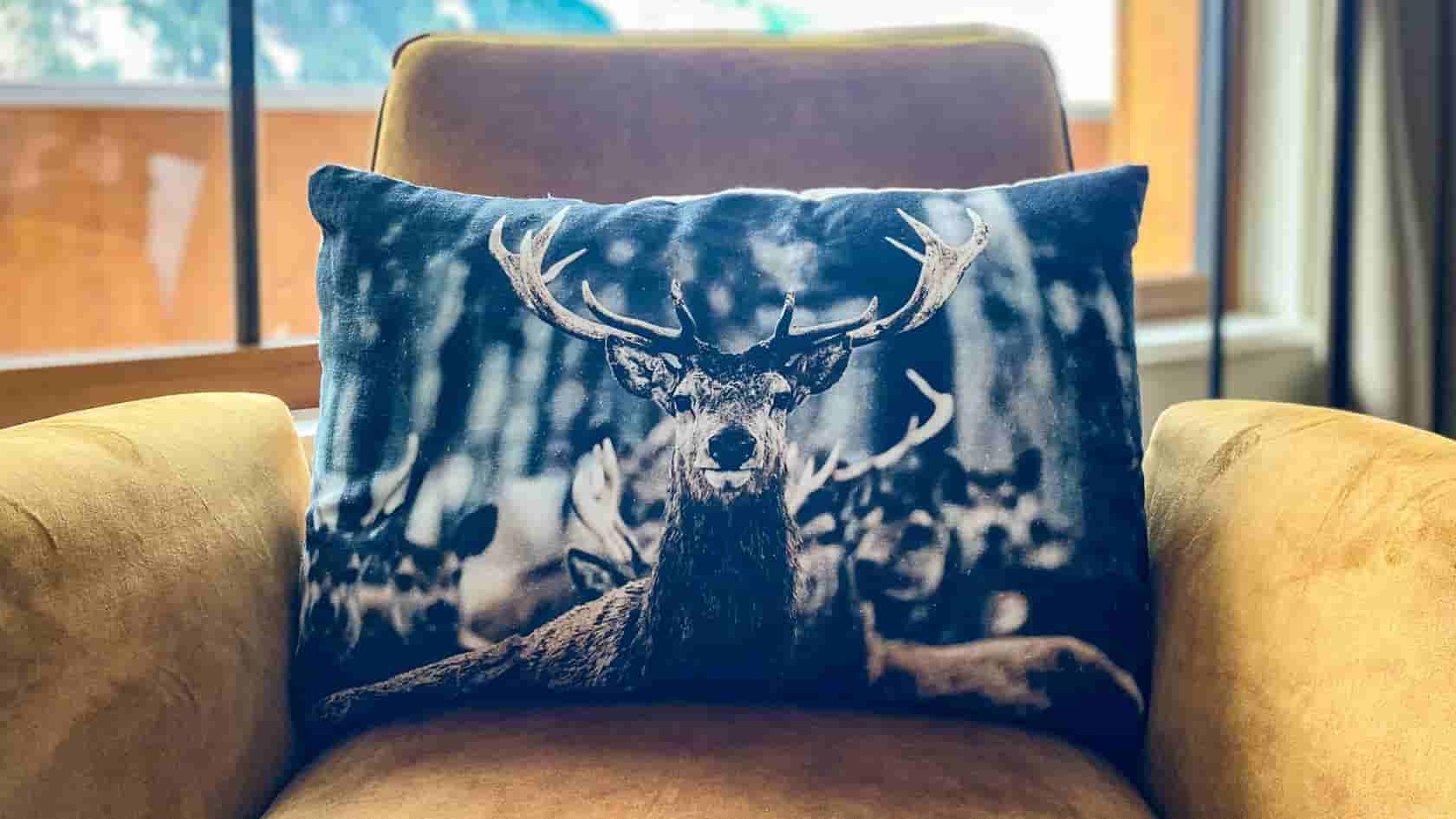 B3 Stilvolles 8p Appartement am Skigebiet