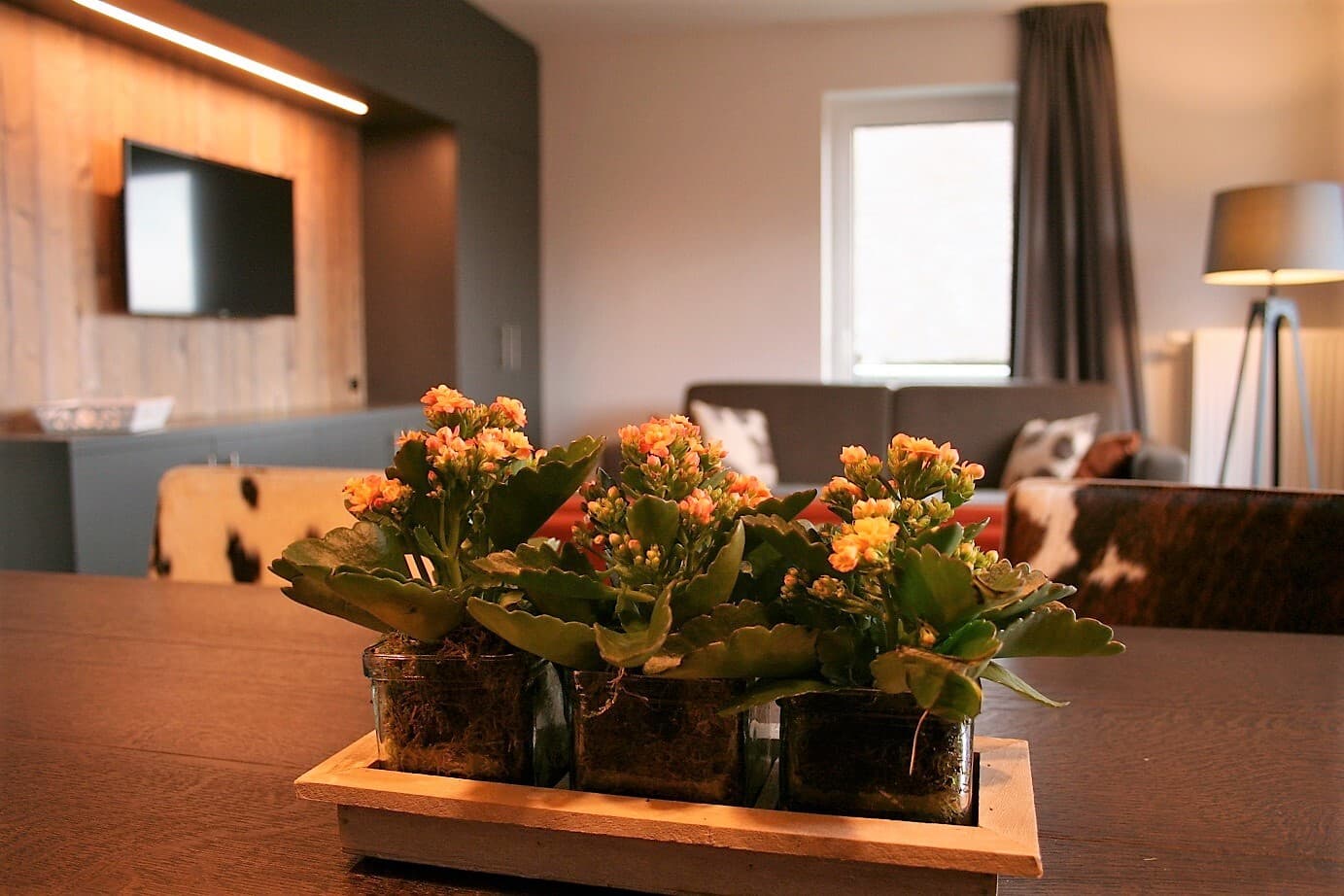 Moderne 6P-Wohnung in bester Lage