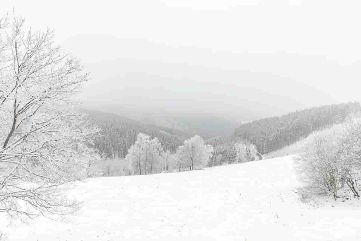 2-Schlafzimmer-Wohnung